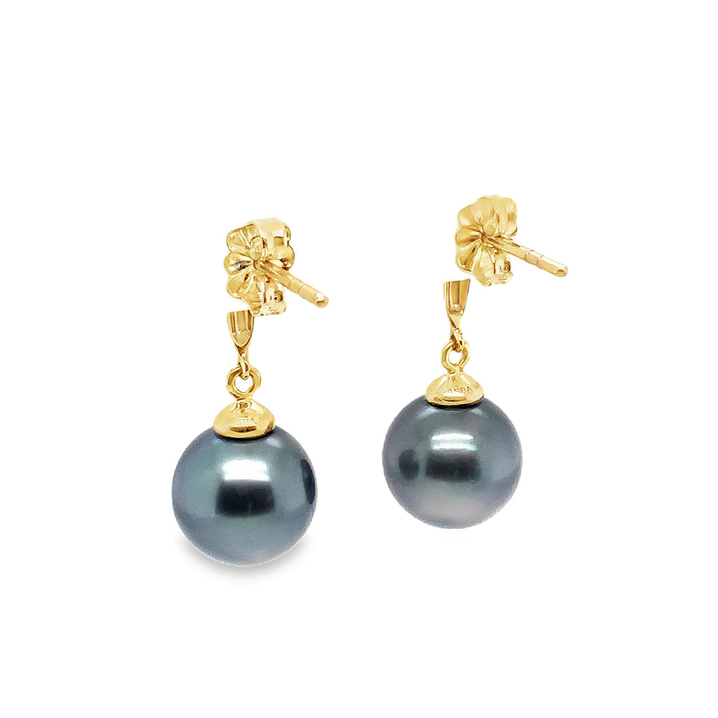 ASBA Collection Black Tahitian Pearl Earring set in 14K Yellow Gold