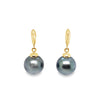 ASBA Collection Black Tahitian Pearl Earring set in 14K Yellow Gold