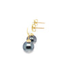 ASBA Collection Black Tahitian Pearl Earring set in 14K Yellow Gold