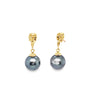 ASBA Collection Black Tahitian Pearl Earring set in 14K Yellow Gold