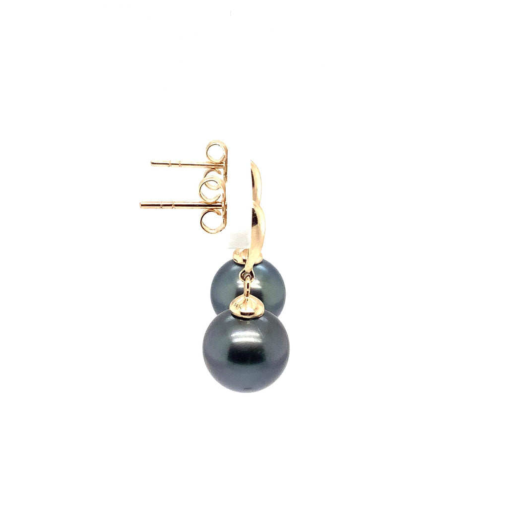 ASBA Collection Black Tahitian Pearl Earring set in 14K Yellow Gold