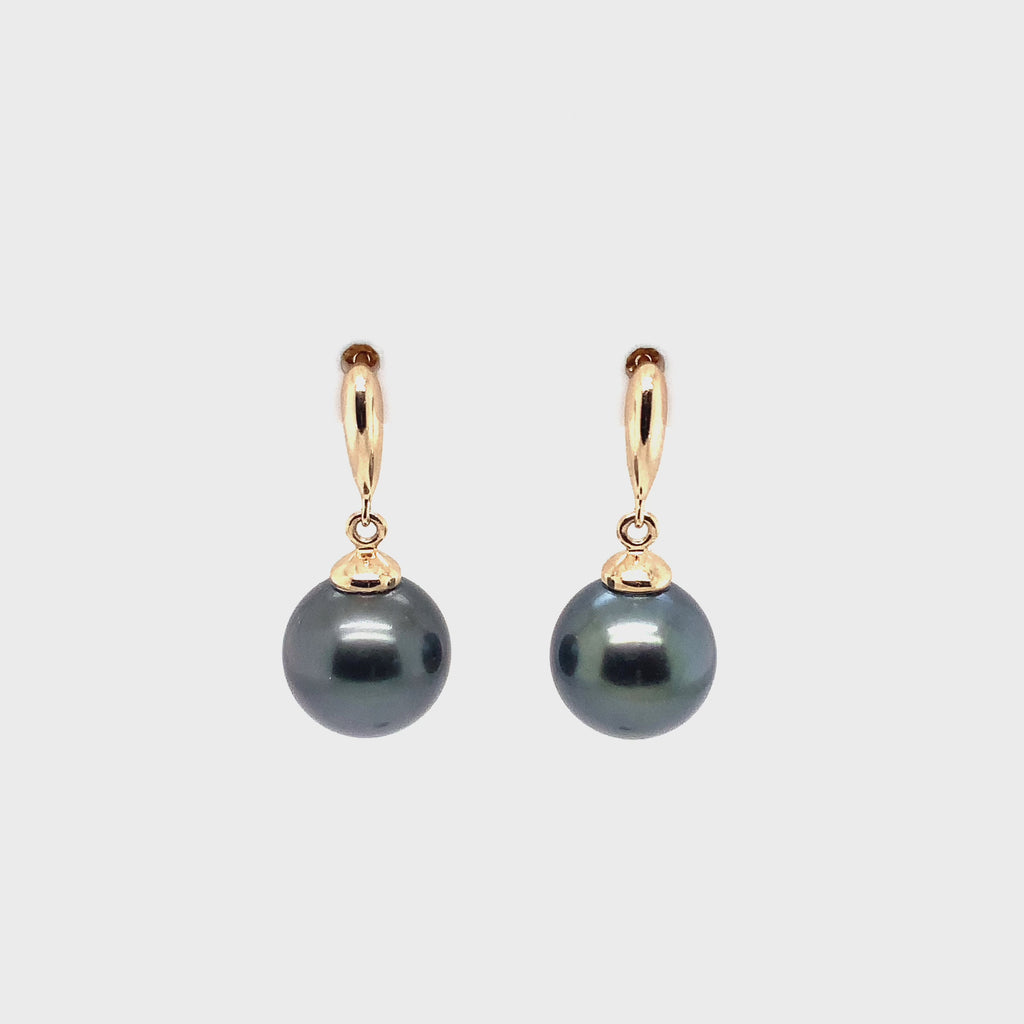 ASBA Collection Black Tahitian Pearl Earring set in 14K Yellow Gold