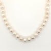 cream akoya cultured 6.0 - 6.5mm pearl necklace 16" in length aa quality