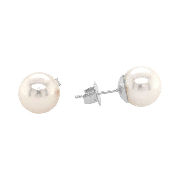 akoya aa white pearl studs earring 14k white gold 6.5 mm