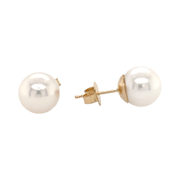 freshwater white pearl studs earring 14k yellow gold 6.5-7 mm