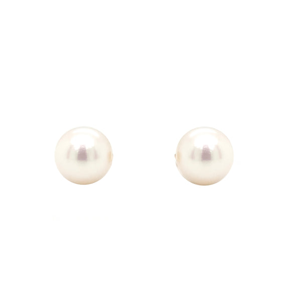premier white akoya  cultured pearl stud earrings in 14k white gold